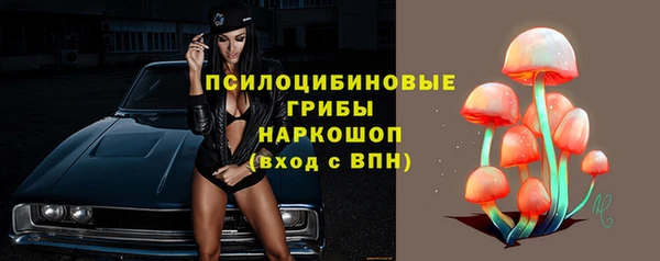 тгк Алексеевка